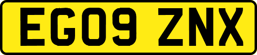 EG09ZNX