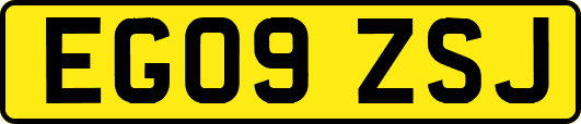 EG09ZSJ