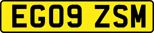 EG09ZSM
