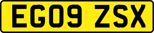 EG09ZSX