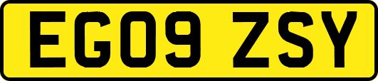 EG09ZSY