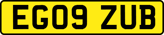 EG09ZUB
