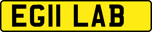 EG11LAB