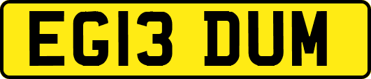 EG13DUM