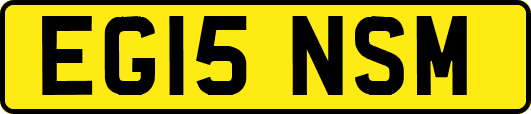EG15NSM
