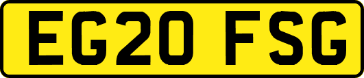 EG20FSG