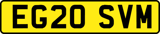 EG20SVM