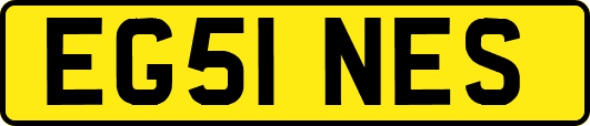 EG51NES