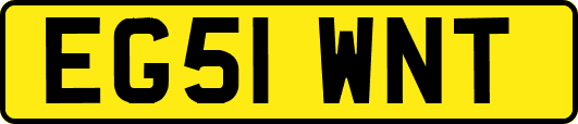 EG51WNT
