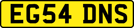 EG54DNS