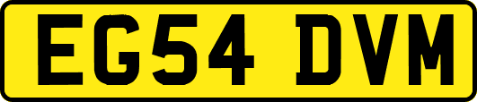 EG54DVM