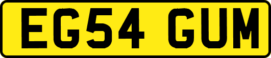EG54GUM