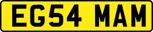 EG54MAM