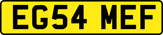 EG54MEF