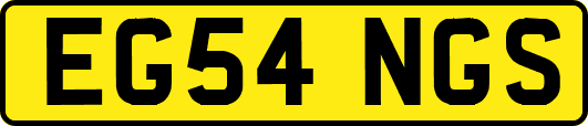 EG54NGS