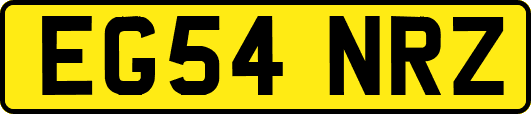 EG54NRZ