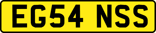 EG54NSS