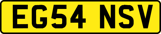 EG54NSV