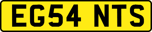 EG54NTS