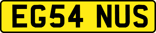 EG54NUS