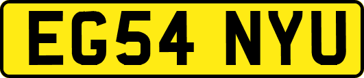 EG54NYU
