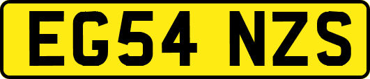 EG54NZS