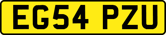 EG54PZU