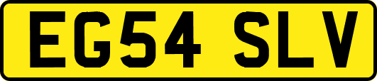 EG54SLV