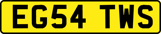 EG54TWS