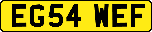 EG54WEF