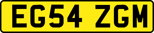 EG54ZGM