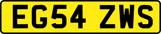 EG54ZWS