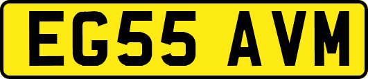 EG55AVM
