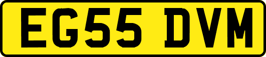 EG55DVM