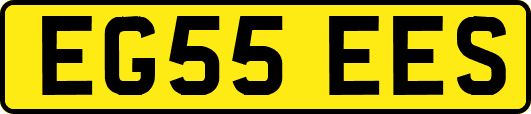 EG55EES