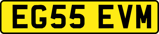 EG55EVM