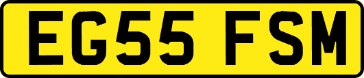 EG55FSM