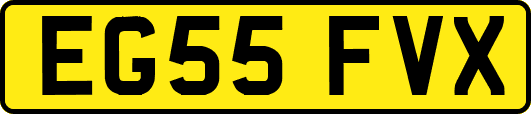 EG55FVX