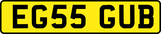 EG55GUB
