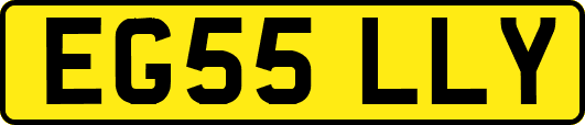 EG55LLY