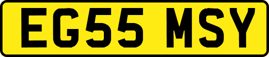 EG55MSY