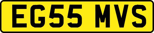 EG55MVS