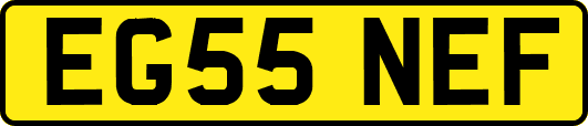 EG55NEF