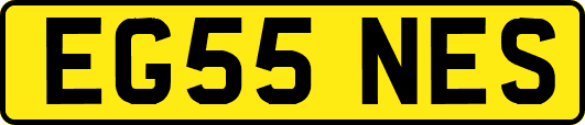 EG55NES