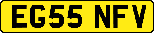 EG55NFV