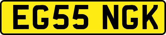 EG55NGK