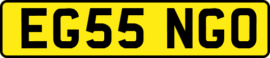 EG55NGO