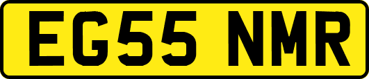 EG55NMR