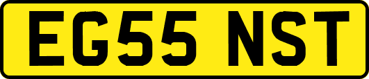 EG55NST