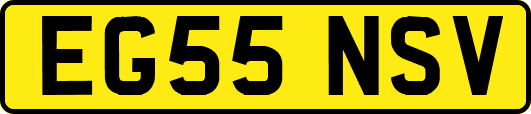 EG55NSV